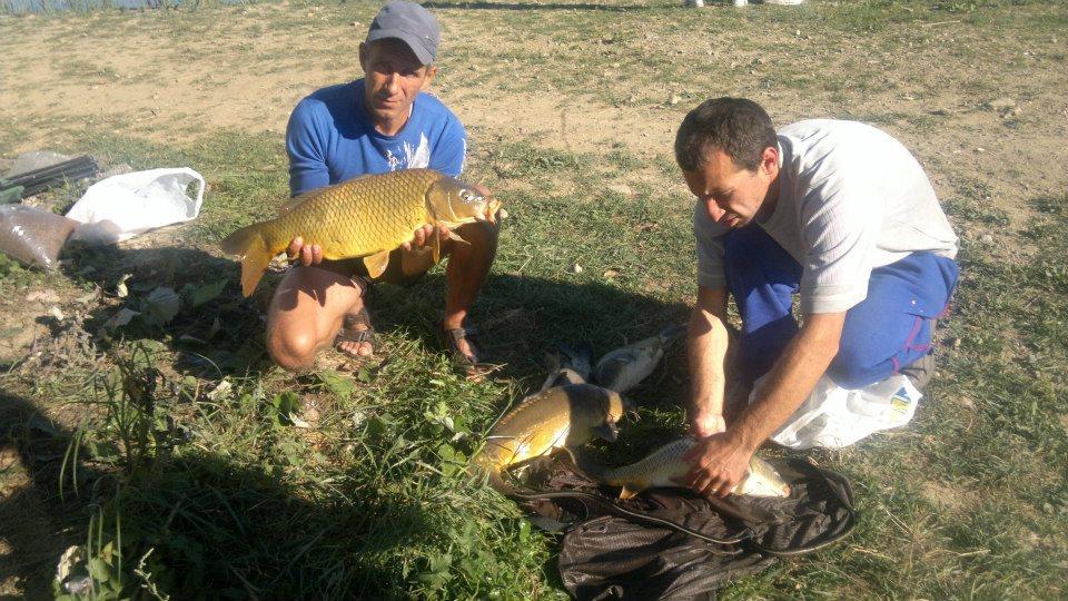 Balta Valea Morii Budila - 537572_113095808860423_1282258297_n.jpg